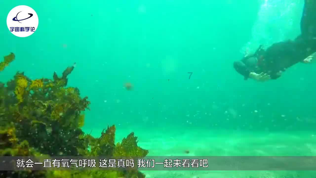 农村办席被工作人员往食物中撒盐,乡村文化转型之困